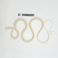 Chinese Rat Snake Curved Skeleton (Ptyas korros) Osteological - TaxidermyArtistry