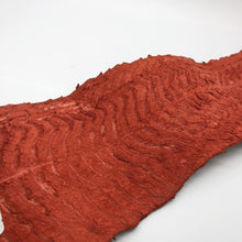 Handmade Red Dyed Pirarucu Arapaima Amazon Peruvian Leather - TaxidermyArtistry