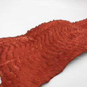 Handmade Red Dyed Pirarucu Arapaima Amazon Peruvian Leather - TaxidermyArtistry