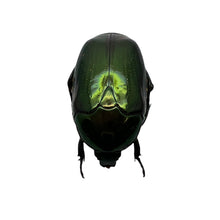 Poecilopharis bouruensis Scarab Beetle Insect - TaxidermyArtistry