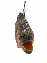 Predator Piranha Head Keyring (Pygocentrus nattereri) - TaxidermyArtistry