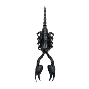 Scorpion Heterometrus Cyaneus - TaxidermyArtistry