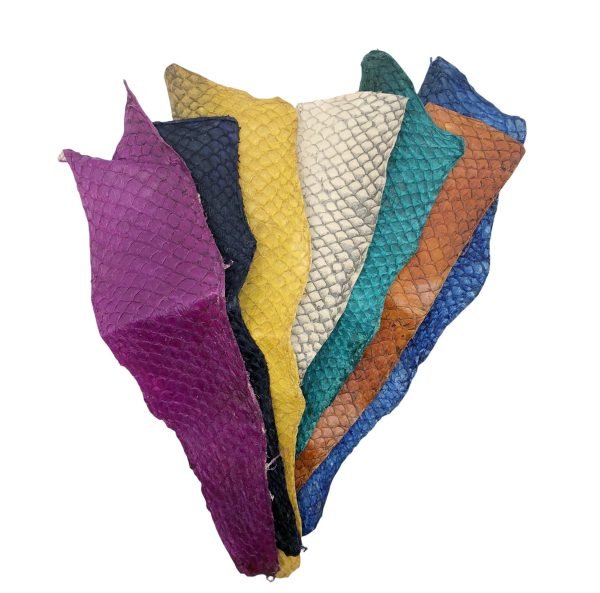 1x Handmade Colour Dyed Liza Ramada Peruvian Coast Fish Leather Pieces - TaxidermyArtistry 1x Handmade Colour Dyed Liza Ramada Peruvian Coast Fish Leather Pieces - TaxidermyArtistry