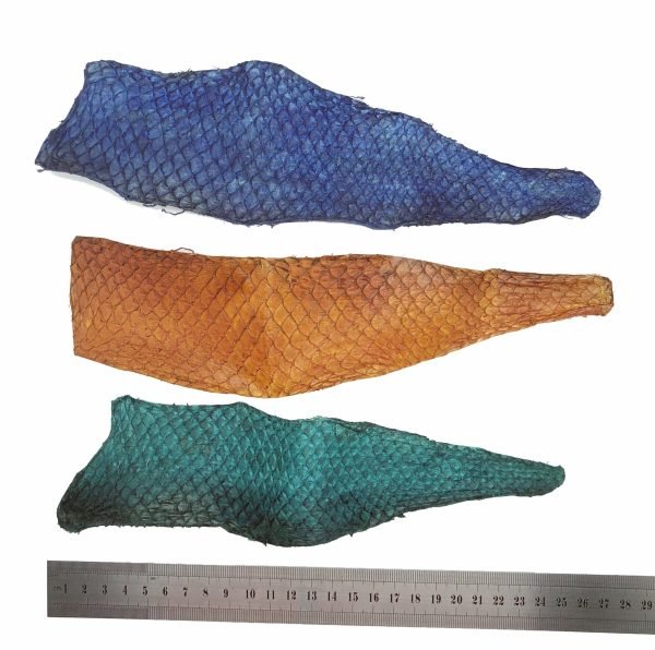1x Handmade Colour Dyed Liza Ramada Peruvian Coast Fish Leather Pieces - TaxidermyArtistry 1x Handmade Colour Dyed Liza Ramada Peruvian Coast Fish Leather Pieces - TaxidermyArtistry