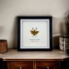 Banded Flower Mantis Frame (Theoprobus elegans) - TaxidermyArtistry Banded Flower Mantis Frame (Theoprobus elegans) - TaxidermyArtistry