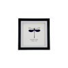 Blue Damselfly (Neurobasis kaupi) Framed Specimen - TaxidermyArtistry Blue Damselfly (Neurobasis kaupi) Framed Specimen - TaxidermyArtistry