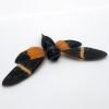 Colourful Orange Cicada (Tosena paviei) - TaxidermyArtistry