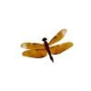 Fulvous Forest Skimmer Dragonfly (Neurothemis fulvia) (F) - TaxidermyArtistry
