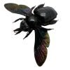 Giant Black Tropical Carpenter Bee Xylocopa Latipes (F) - TaxidermyArtistry Giant Black Tropical Carpenter Bee Xylocopa Latipes (F) - TaxidermyArtistry