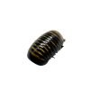 Giant Pill Millipede (Sp8) - TaxidermyArtistry Giant Pill Millipede (Sp8) - TaxidermyArtistry