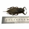 Giant Water Bug (Lethocerus indicus) - TaxidermyArtistry Giant Water Bug (Lethocerus indicus) - TaxidermyArtistry