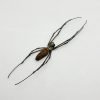 Giant Wood Spider Nephila Maculata - TaxidermyArtistry Giant Wood Spider Nephila Maculata - TaxidermyArtistry