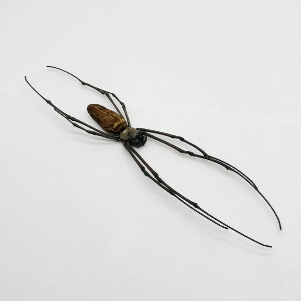 Giant Wood Spider Nephila Maculata - TaxidermyArtistry Giant Wood Spider Nephila Maculata - TaxidermyArtistry