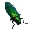 Green Metallic Wood-Boring Beetle (Megaloxantha bicolor othanii) Insect - TaxidermyArtistry Green Metallic Wood-Boring Beetle (Megaloxantha bicolor othanii) Insect - TaxidermyArtistry