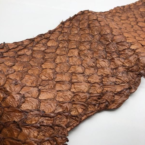 Handmade Brown Dyed Pirarucu Arapaima Amazon Peruvian Leather - TaxidermyArtistry