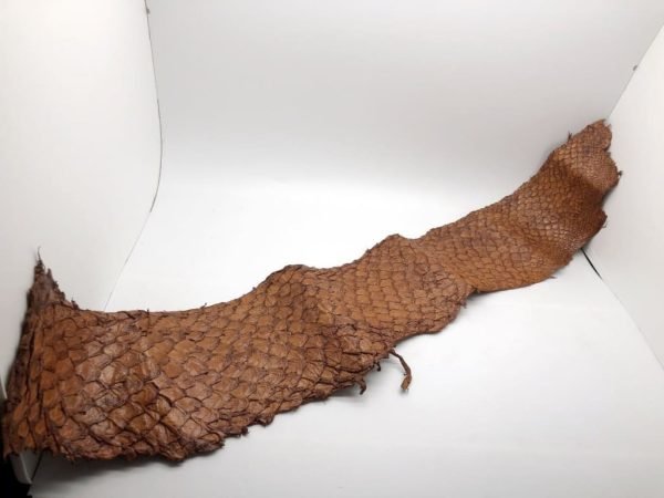 Handmade Brown Dyed Pirarucu Arapaima Amazon Peruvian Leather - TaxidermyArtistry