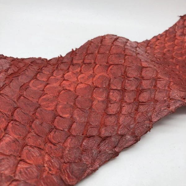 Handmade Red Dyed Pirarucu Arapaima Amazon Peruvian Leather - TaxidermyArtistry