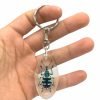Keyring Resin Blue Banded Weevil Beetle Eupholus linnei Entomology Insect - TaxidermyArtistry