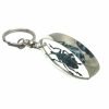 Keyring Resin Blue Banded Weevil Beetle Eupholus linnei Entomology Insect - TaxidermyArtistry