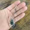 Keyring Resin Blue Banded Weevil Beetle Eupholus linnei Entomology Insect - TaxidermyArtistry