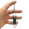 Keyring Resin Saw Tooth Stag Beetle Lamprima Adolphinae Entomology Insect - TaxidermyArtistry