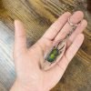 Keyring Resin Saw Tooth Stag Beetle Lamprima Adolphinae Entomology Insect - TaxidermyArtistry