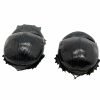 Large Dung Beetle (Heliocopris bucephalus) (PAIR) - TaxidermyArtistry Large Dung Beetle (Heliocopris bucephalus) (PAIR) - TaxidermyArtistry