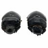 Large Dung Beetle (Heliocopris bucephalus) (PAIR) - TaxidermyArtistry Large Dung Beetle (Heliocopris bucephalus) (PAIR) - TaxidermyArtistry