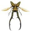 Longjaw Beetle Cyclommatus metallifer (SPREAD) (HUGE) - TaxidermyArtistry