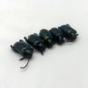 Lot of 5 GIANT Frog-Beetle Sagra Femoralis - TaxidermyArtistry Lot of 5 GIANT Frog-Beetle Sagra Femoralis - TaxidermyArtistry
