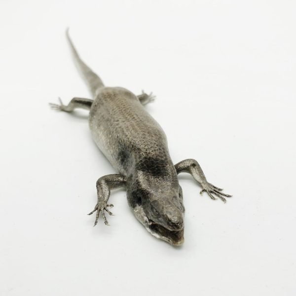 Many-striped Skink Eutropis multifasciata - TaxidermyArtistry Many-striped Skink Eutropis multifasciata - TaxidermyArtistry