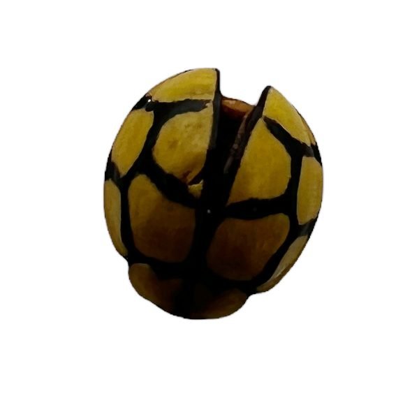 Netty Ladybird (Heteroneda billardieri) Bug - TaxidermyArtistry