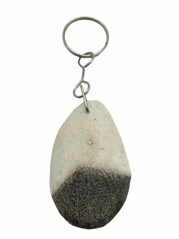 PIRARUCU ARAPAIMA AMAZON Scale Keychain (Acts as Natural Nail Filer) - TaxidermyArtistry