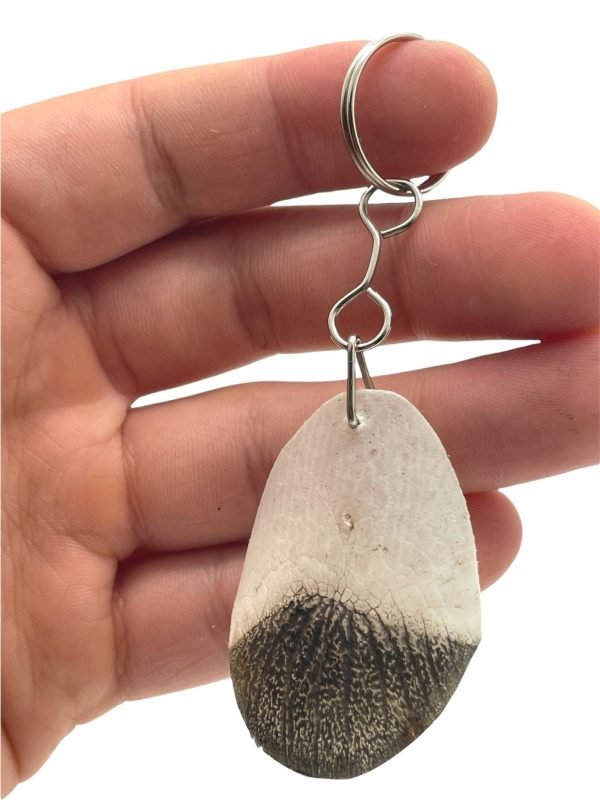 PIRARUCU ARAPAIMA AMAZON Scale Keychain (Acts as Natural Nail Filer) - TaxidermyArtistry