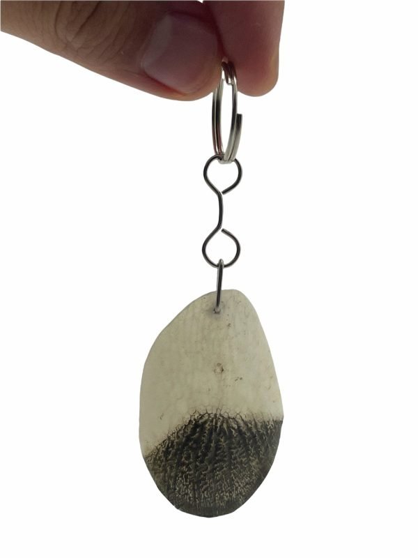 PIRARUCU ARAPAIMA AMAZON Scale Keychain (Acts as Natural Nail Filer) - TaxidermyArtistry