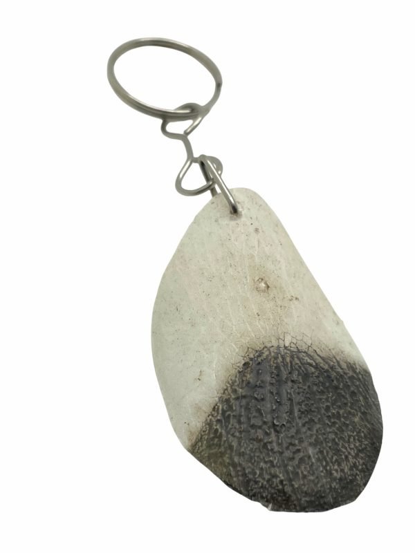 PIRARUCU ARAPAIMA AMAZON Scale Keychain (Acts as Natural Nail Filer) - TaxidermyArtistry