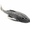 Pre-Historic Carachama Armored Catfish (Pseudorinelepis genibarbis) Peru - TaxidermyArtistry