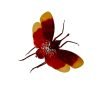Red and Yellow Snout Nose Lantern Fly (Pyrops hamdjahi) - TaxidermyArtistry Red and Yellow Snout Nose Lantern Fly (Pyrops hamdjahi) - TaxidermyArtistry