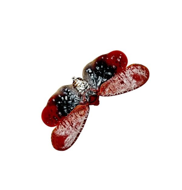 Red Spotted Lantern Fly (Aphaena submaculata) - TaxidermyArtistry