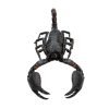 Scorpion Heterometrus Cyaneus (Tail Up) - TaxidermyArtistry Scorpion Heterometrus Cyaneus (Tail Up) - TaxidermyArtistry