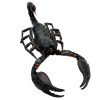 Scorpion Heterometrus Cyaneus (Tail Up) - TaxidermyArtistry Scorpion Heterometrus Cyaneus (Tail Up) - TaxidermyArtistry