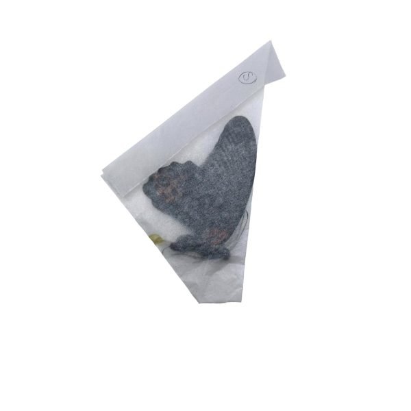 The Great Mormon Butterfly (Papilio memnon) MALE - TaxidermyArtistry