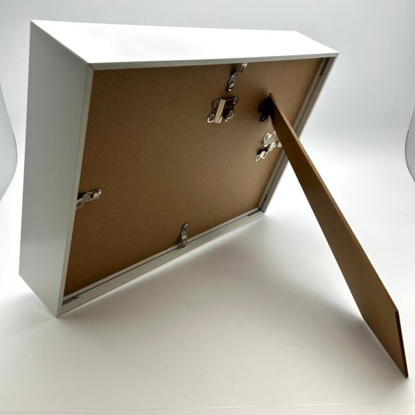 The Pink Walking Stick Frame (Diesbachia tamyris) - TaxidermyArtistry The Pink Walking Stick Frame (Diesbachia tamyris) - TaxidermyArtistry