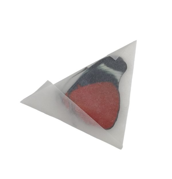 The Prola Beauty Red Flasher Butterfly (Panacea prola) - TaxidermyArtistry