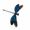 Turquoise Damselfly (Euphaea refulgens) (M) Specimen - TaxidermyArtistry