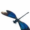 Turquoise Damselfly (Euphaea refulgens) (M) Specimen - TaxidermyArtistry