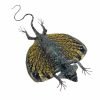 YELLOW Draco Flying Lizard - TaxidermyArtistry YELLOW Draco Flying Lizard - TaxidermyArtistry