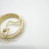 Striped Keelback Snake Full Skeleton (Xenochrophis vittatus) Osteological Specimen - TaxidermyArtistry Striped Keelback Snake Full Skeleton (Xenochrophis vittatus) Osteological Specimen - TaxidermyArtistry