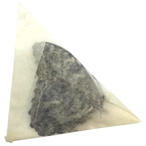 The Deidamia Scarce Morpho Butterfly FEMALE (Morpho deidamia) - TaxidermyArtistry The Deidamia Scarce Morpho Butterfly FEMALE (Morpho deidamia) - TaxidermyArtistry