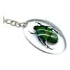 Green Scarab Beetle Resin Keyring (Heterorrhina sexmaculata) - TaxidermyArtistry